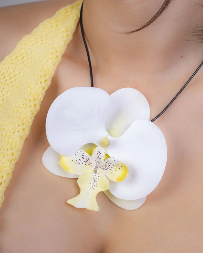 _DSC0779.webp